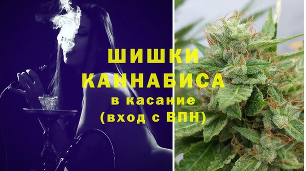 мяу мяу мука Новозыбков