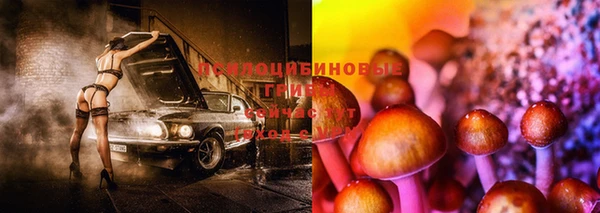 каннабис Новодвинск