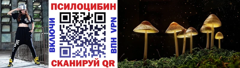 Псилоцибиновые грибы прущие грибы  KRAKEN ТОР  Миньяр  цена наркотик 